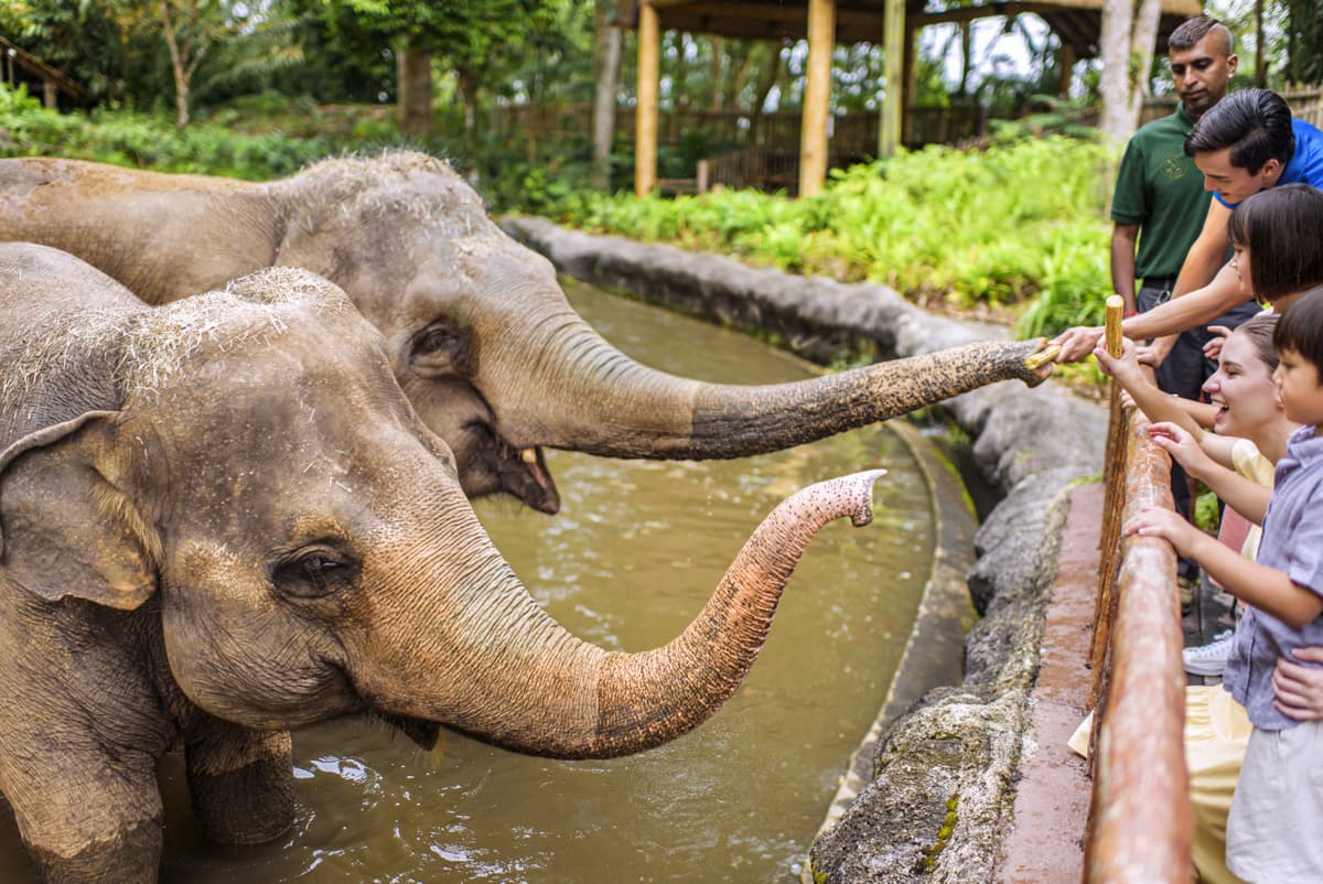 2-Park Destination Pass: Singapore Zoo + Exploria Ticket