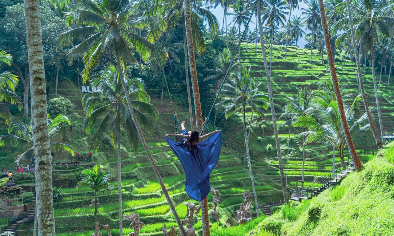Alas Harum Bali: Swing, Skybike, and Zipline