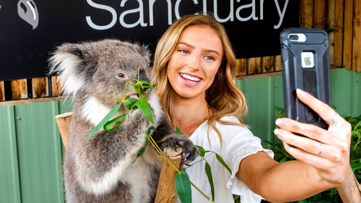 Moonlit Sanctuary Wildlife Conservation Park Ticket