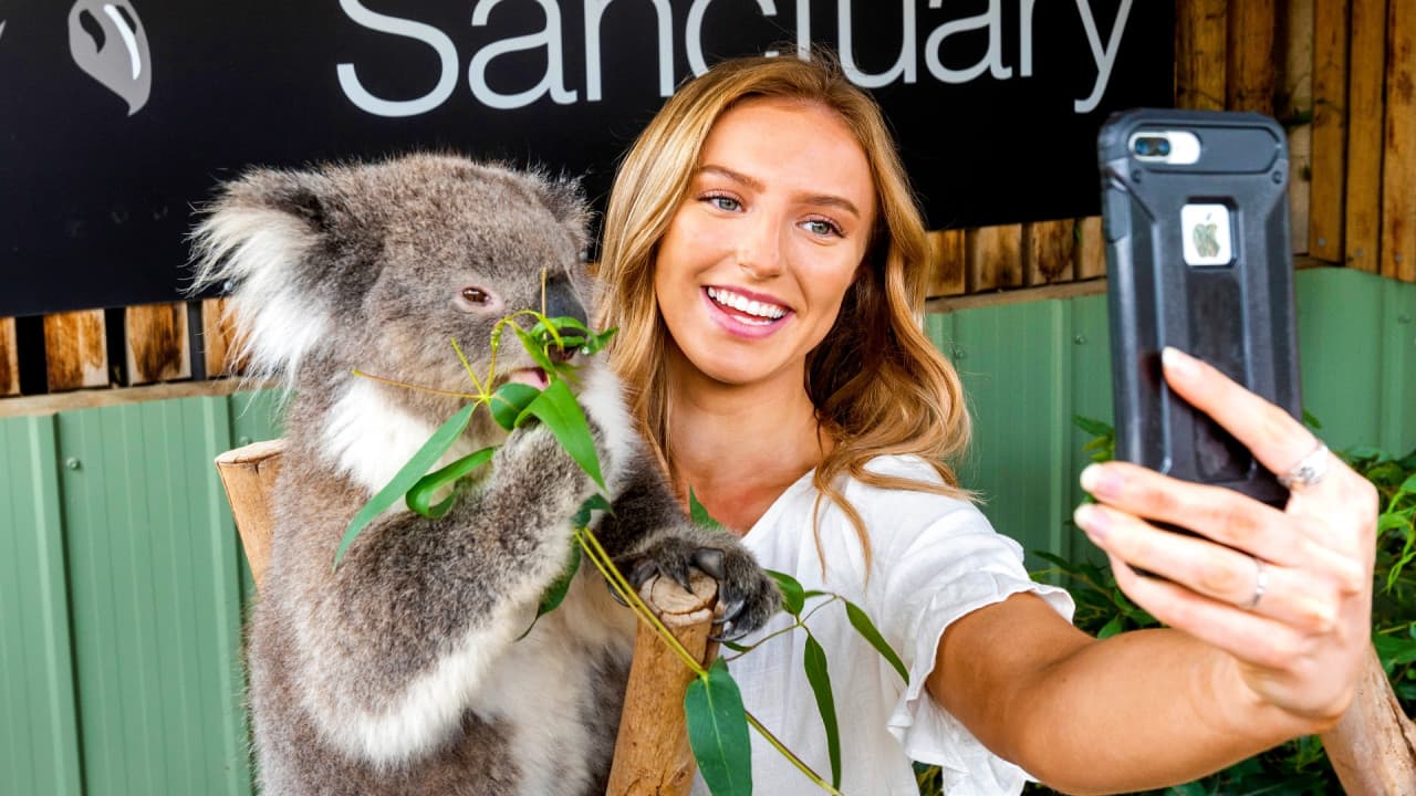 Moonlit Sanctuary Wildlife Conservation Park Ticket
