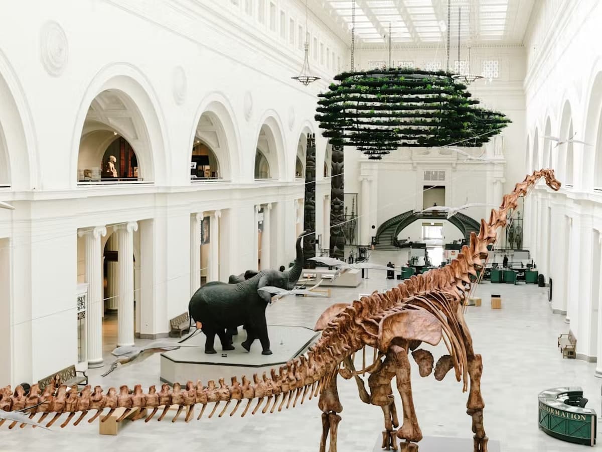 The Field Museum of Natural History Ticket
