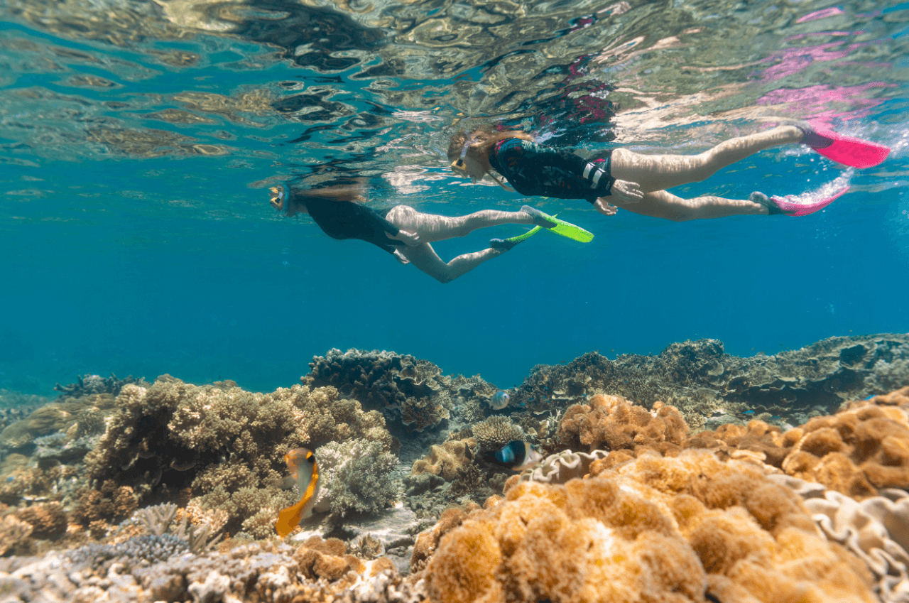 Great Barrier Reef Pontoon Full-Day Tour at Moore Reef – photo 4