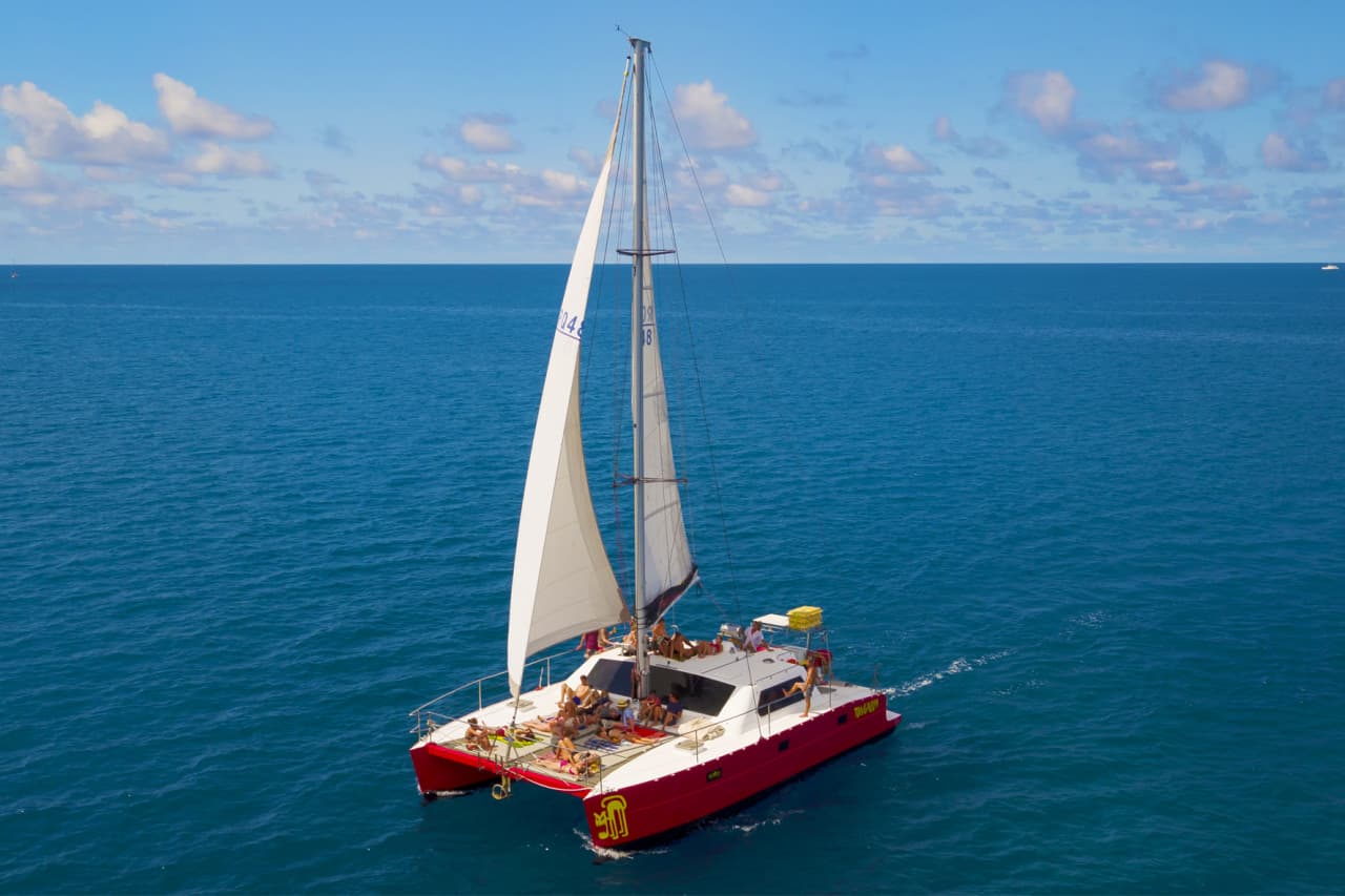 Tongarra Day Sailing Tour – photo 15