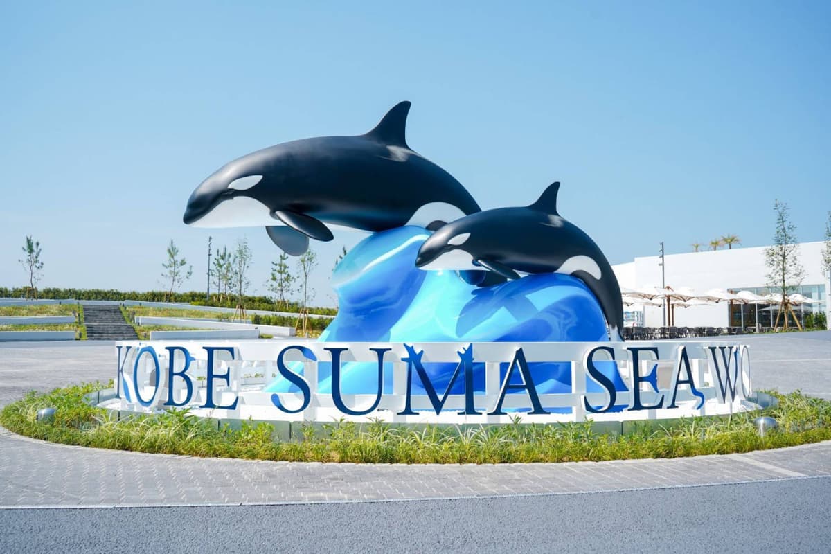 Experiences in Kobe