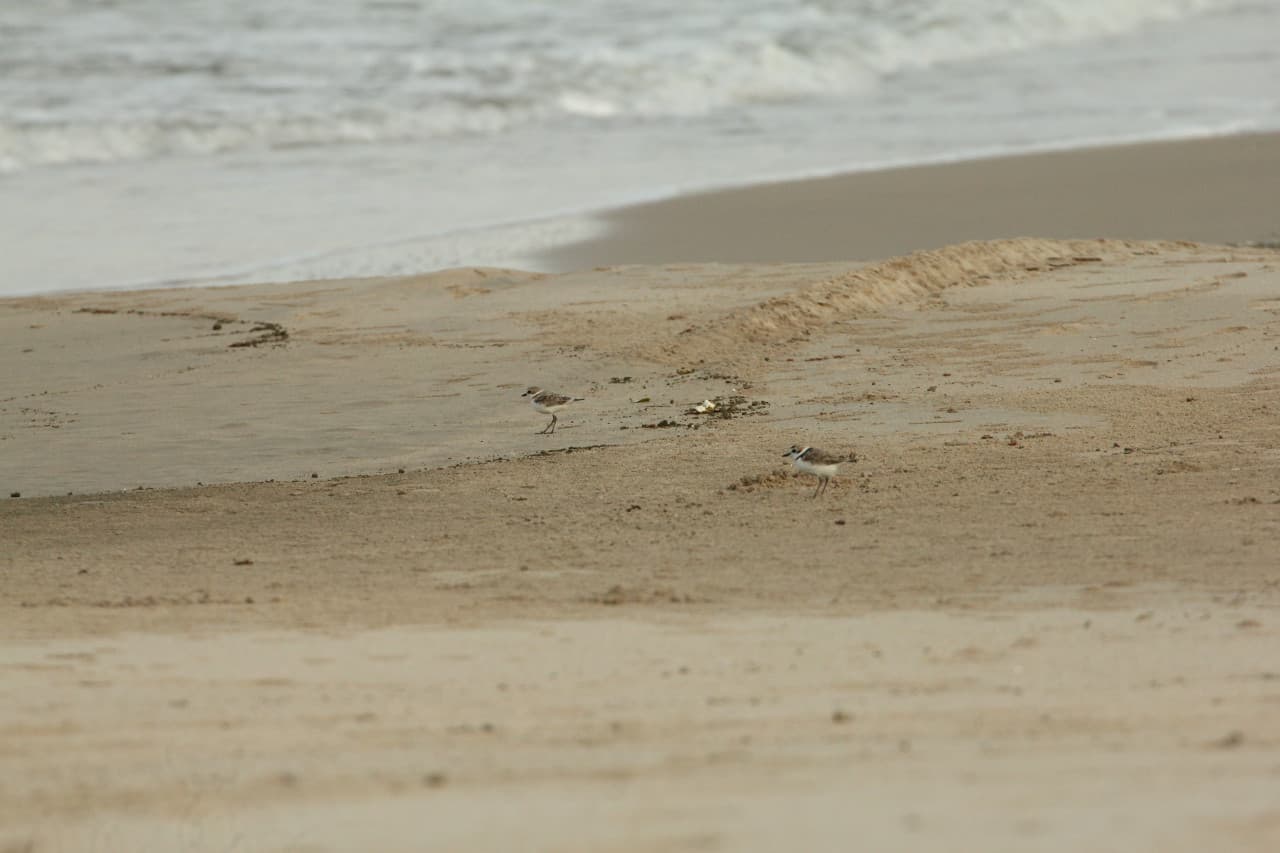 Desaru Beach and Tide Pool Walk – photo 41