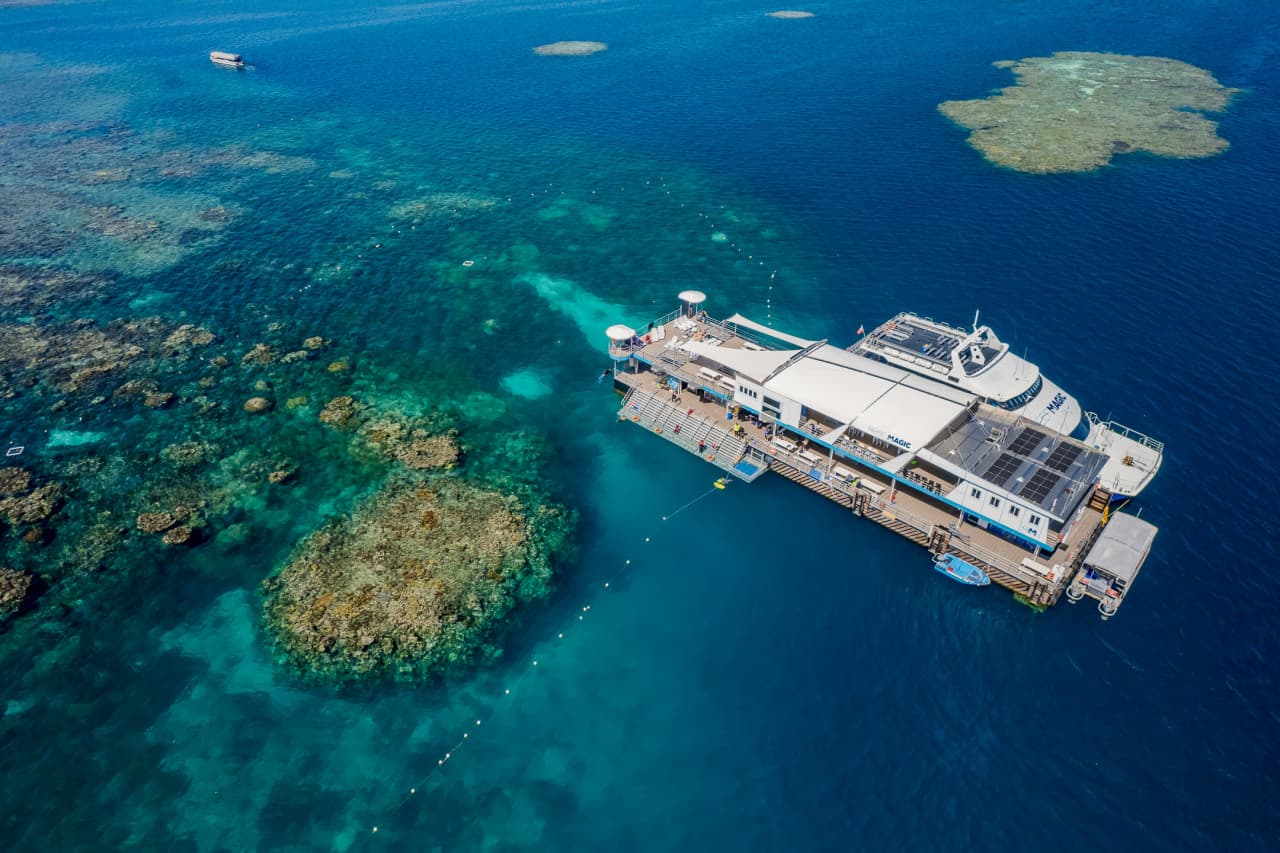 Reef Magic Pontoon Tour from Cairns – photo 9