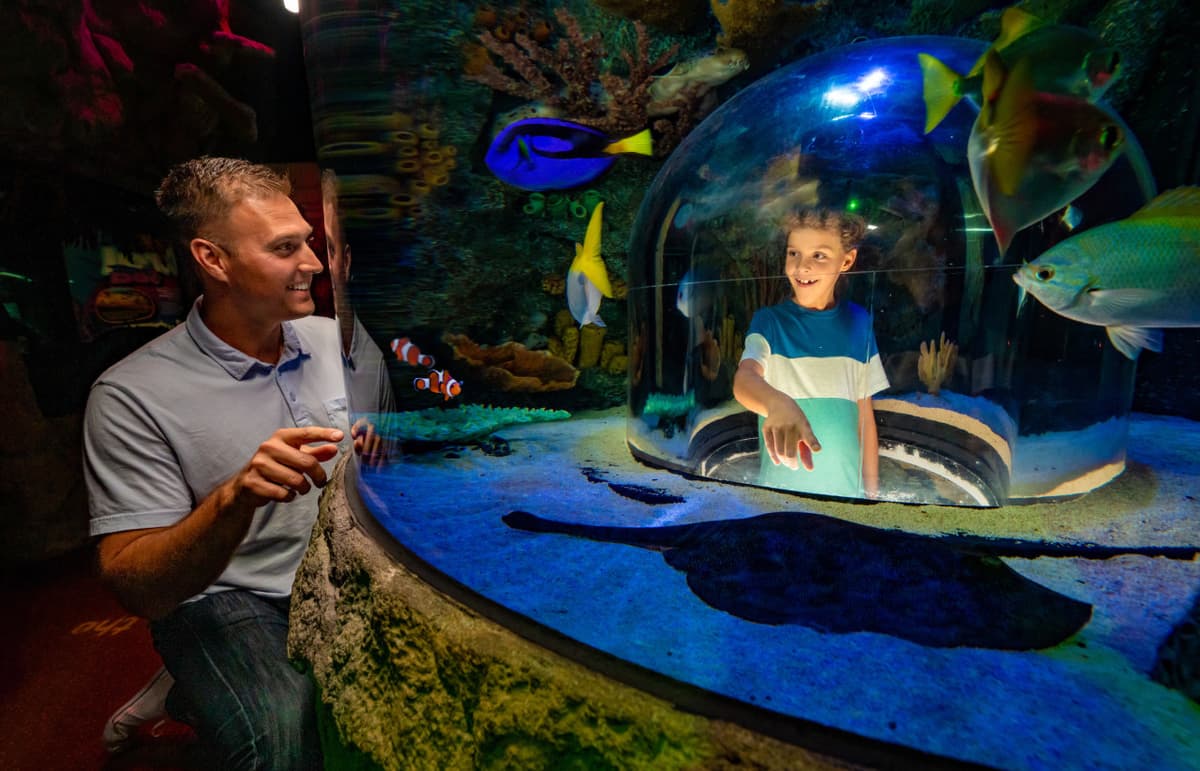 COMBO: The Orlando Eye + Madame Tussauds Orlando + SEA LIFE Orlando Aquarium Ticket