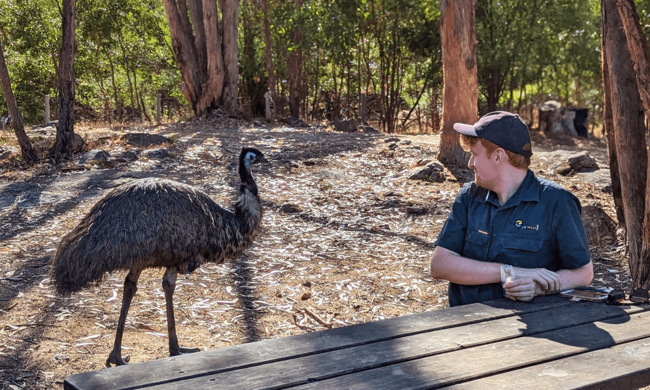 Grampians National Park Day Tour from Melbourne – photo 10