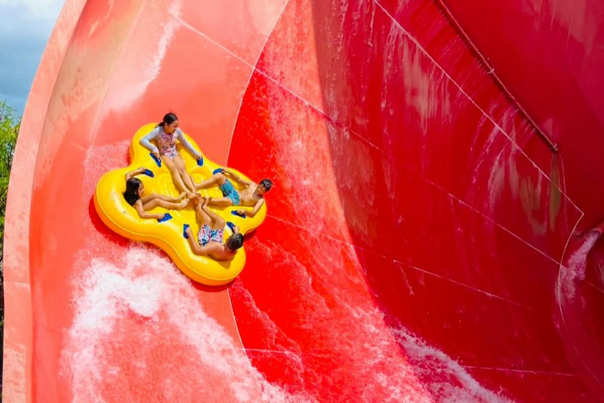 Hawaii: Wet 'n' Wild Ticket + Transportation from Waikiki