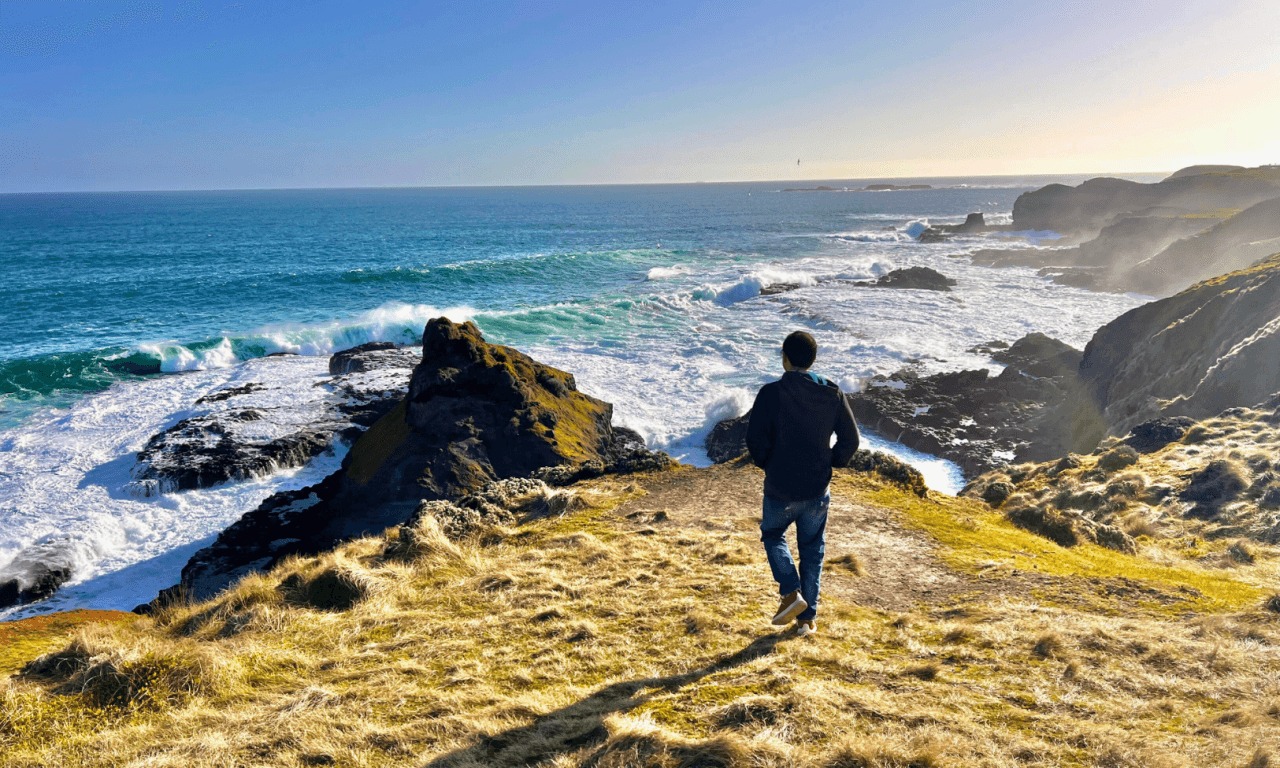 Penguins Express Tour from Melbourne – photo 12