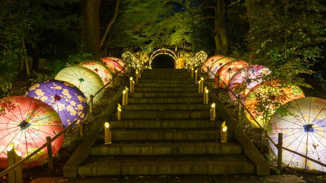 Yomiuriland Amusement Park Ticket