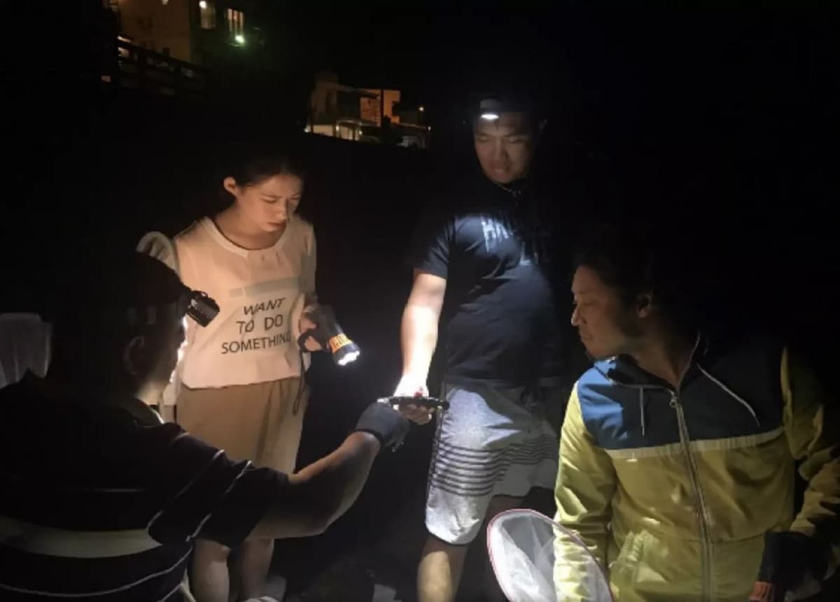 Houbi Lake Night Tour from Kenting