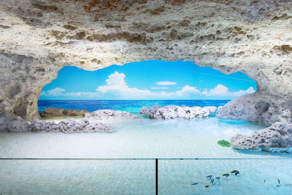 Okinawa DMM Kariyushi Aquarium