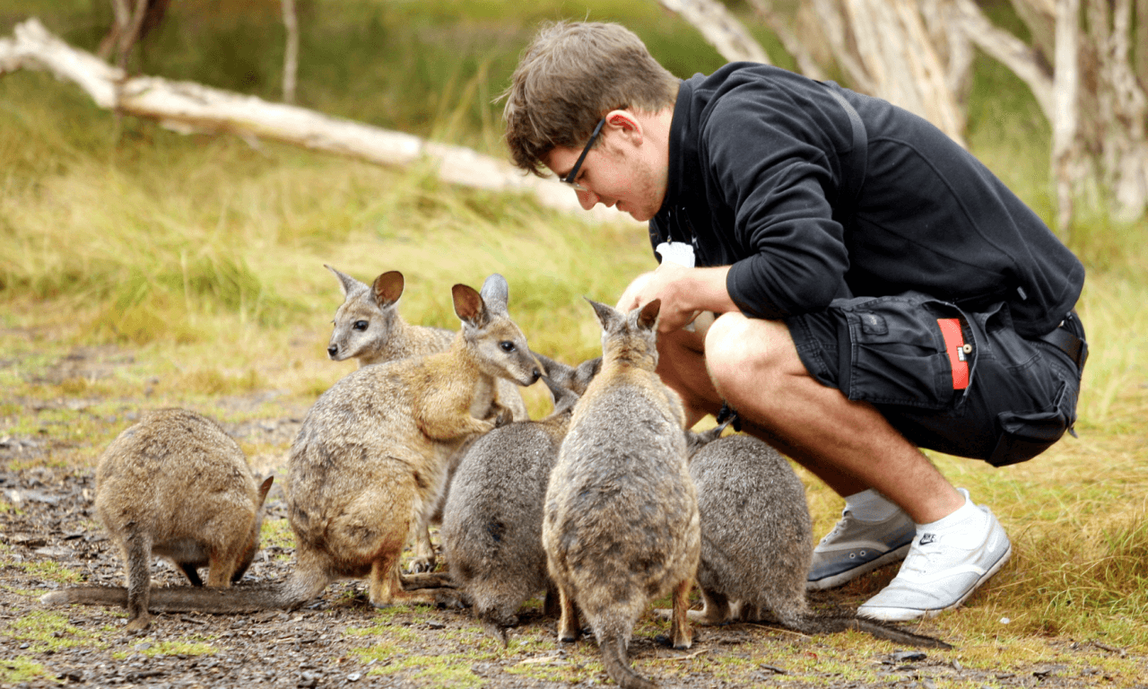 Phillip Island with Penguin Parade Eco Tour – photo 24