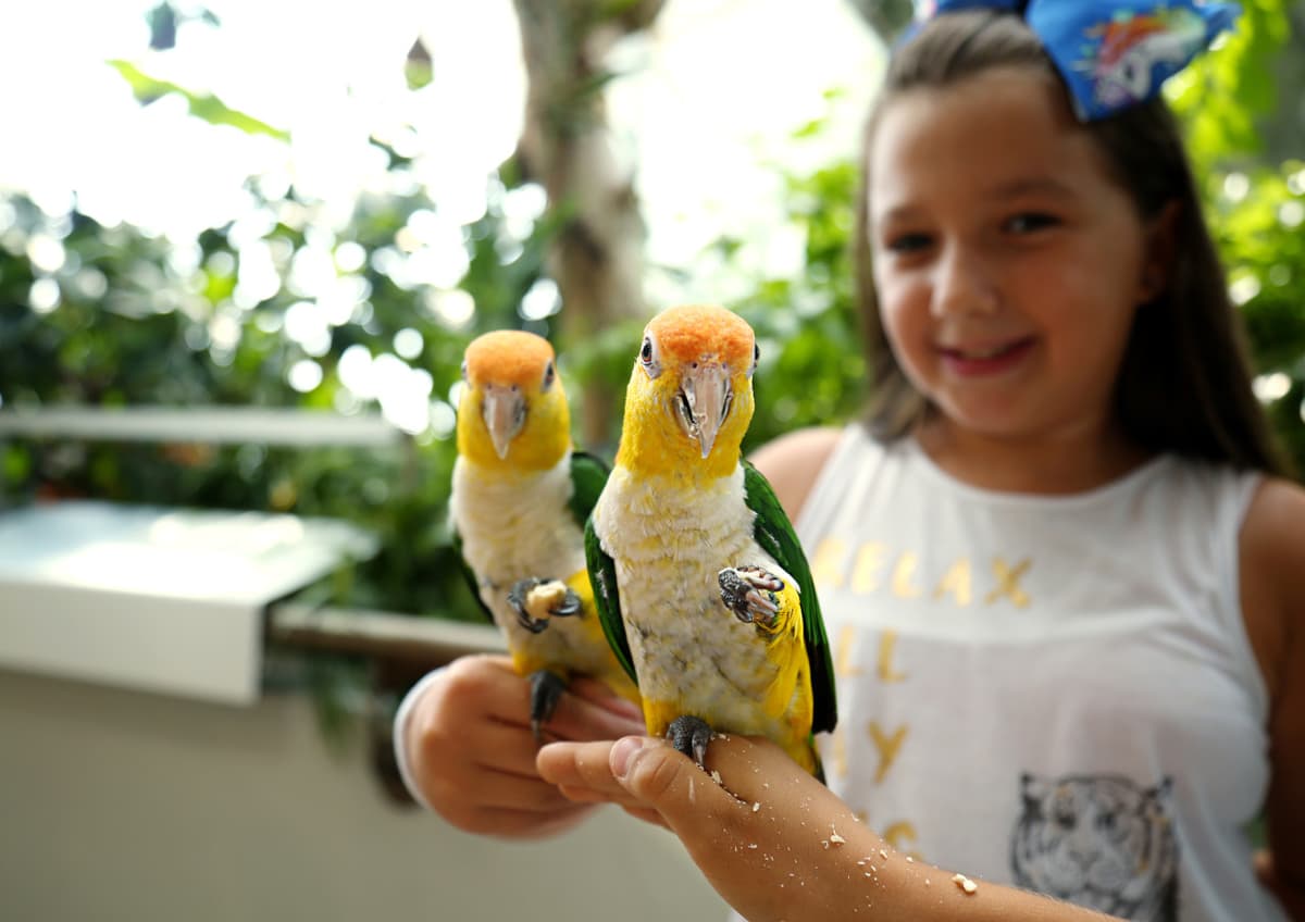 The Green Planet Dubai Ticket