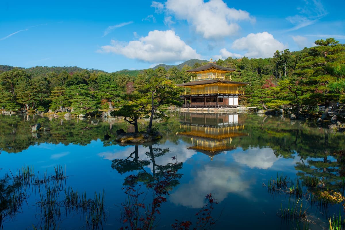 Kyoto and Nara Tour from Osaka