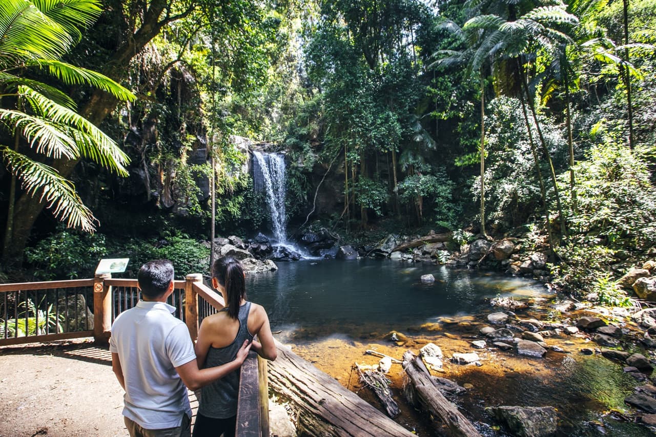 Tamborine Mountain Guided Walk and Wine Tasting Tour