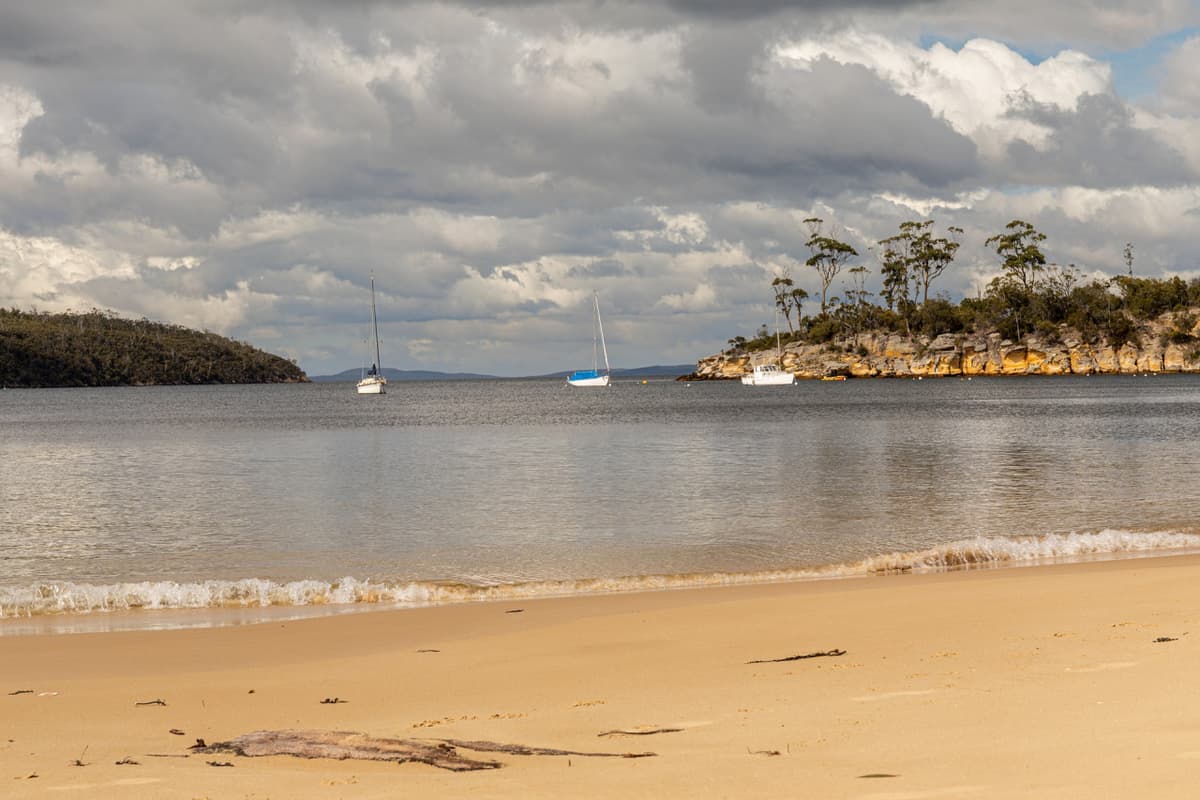 Hobart City Explorer Tour