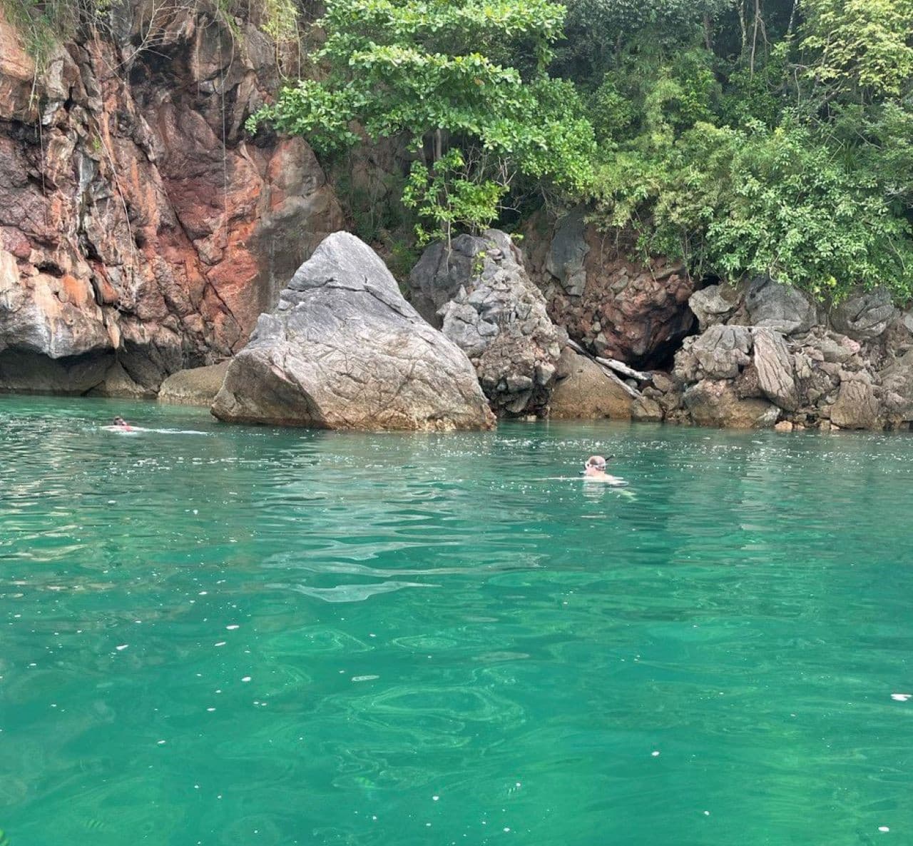 Langkawi Mangrove Cruise and Snorkeling