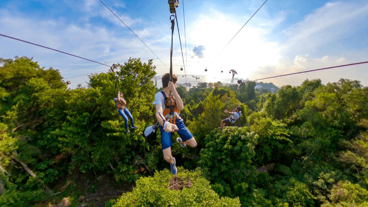 COMBO: Singapore Cable Car + MegaZip at Mega Adventure Park