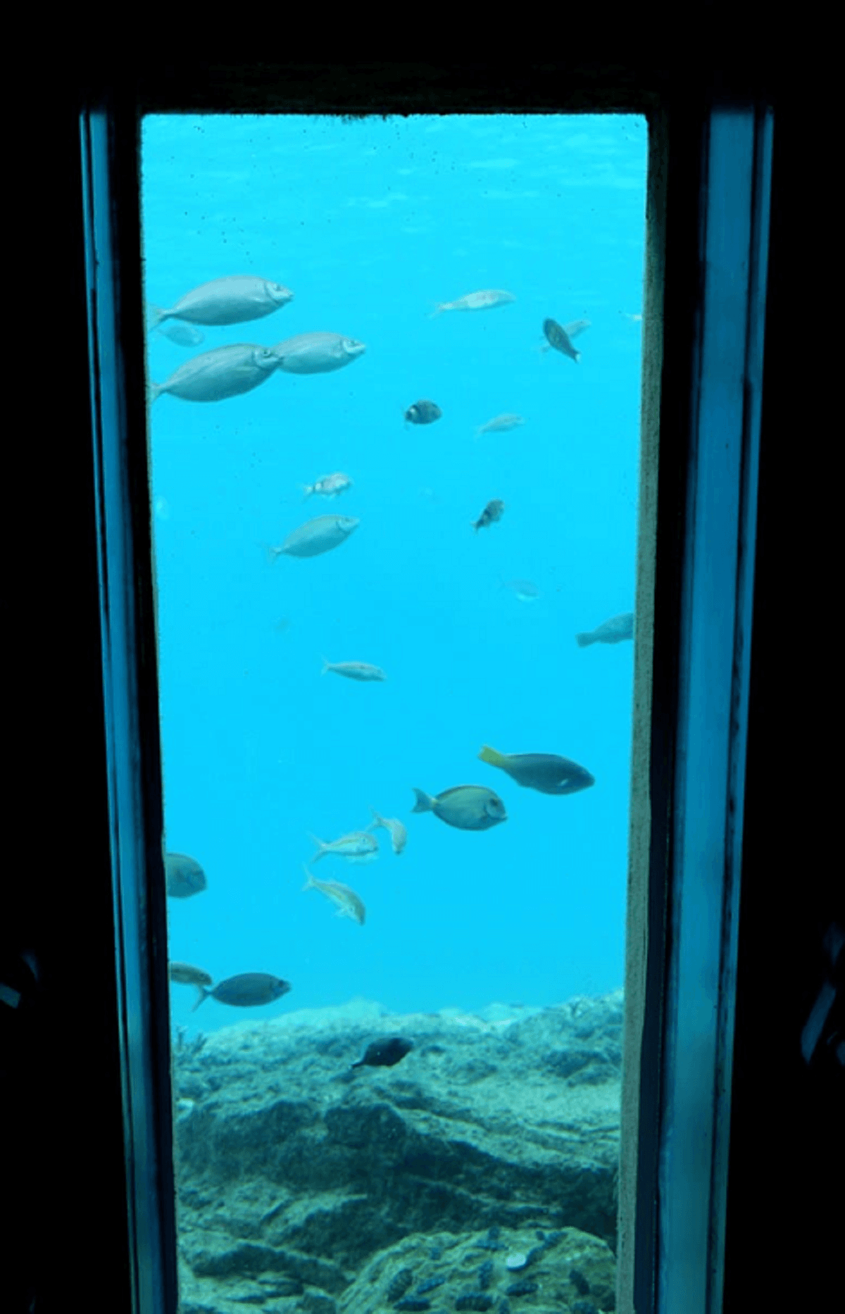 Okinawa Miyakojima Undersea Park