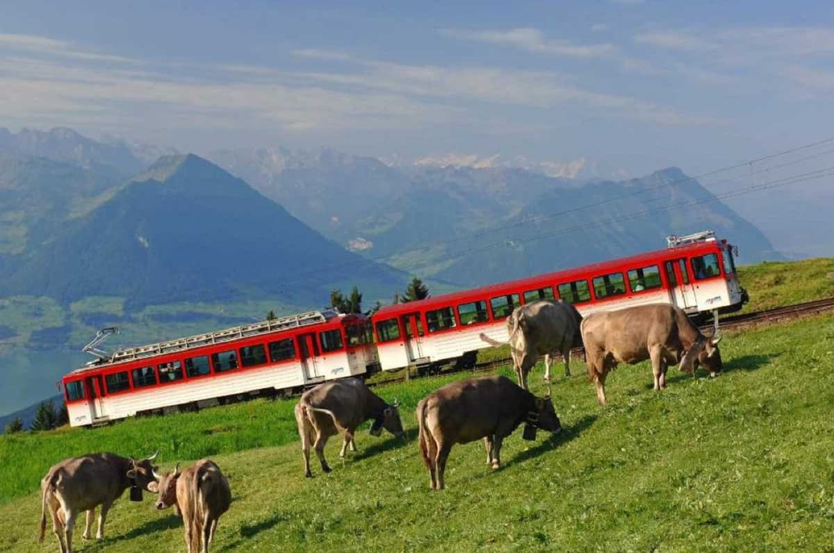 Mount Rigi Tour
