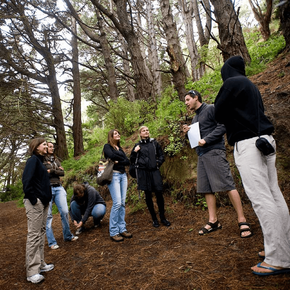 Lord of the Rings Tour at Wellington