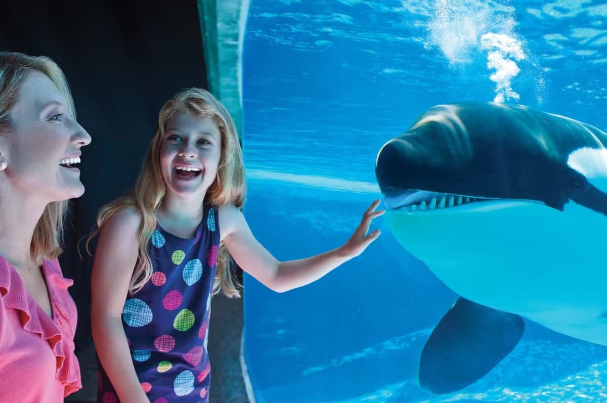 SeaWorld San Diego Ticket: Direct Entry