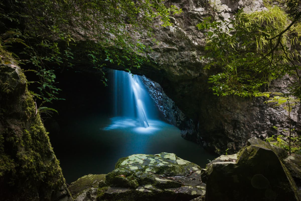 Springbrook National Park Night Tour