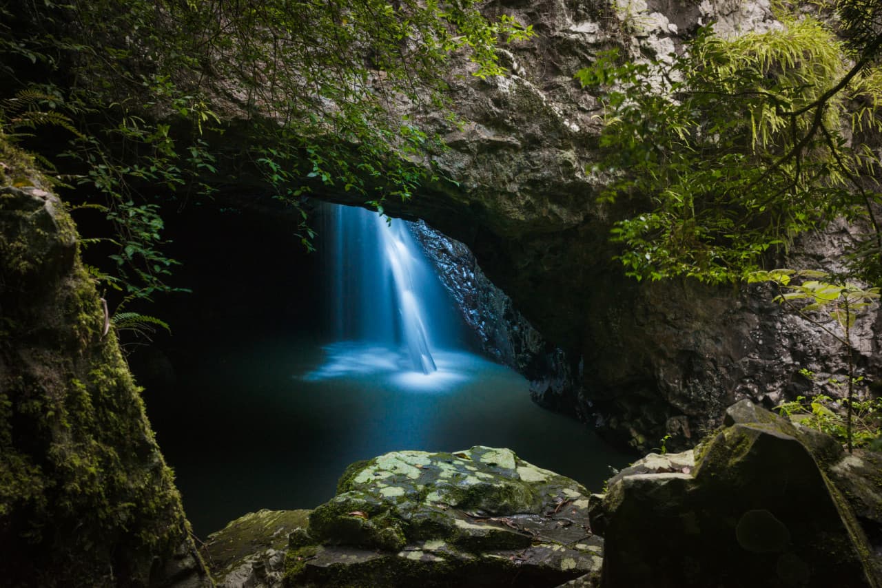 Springbrook National Park Night Tour