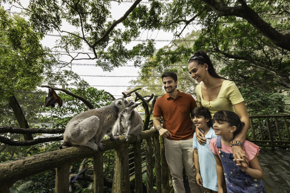 COMBO: Singapore Zoo + Breakfast in the Wild