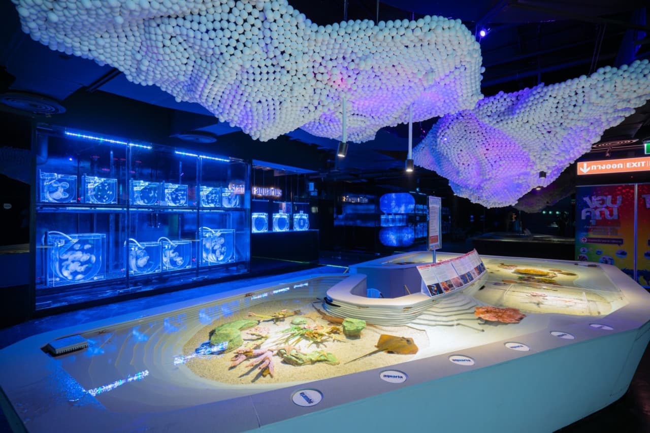 Aquaria Phuket – photo 27