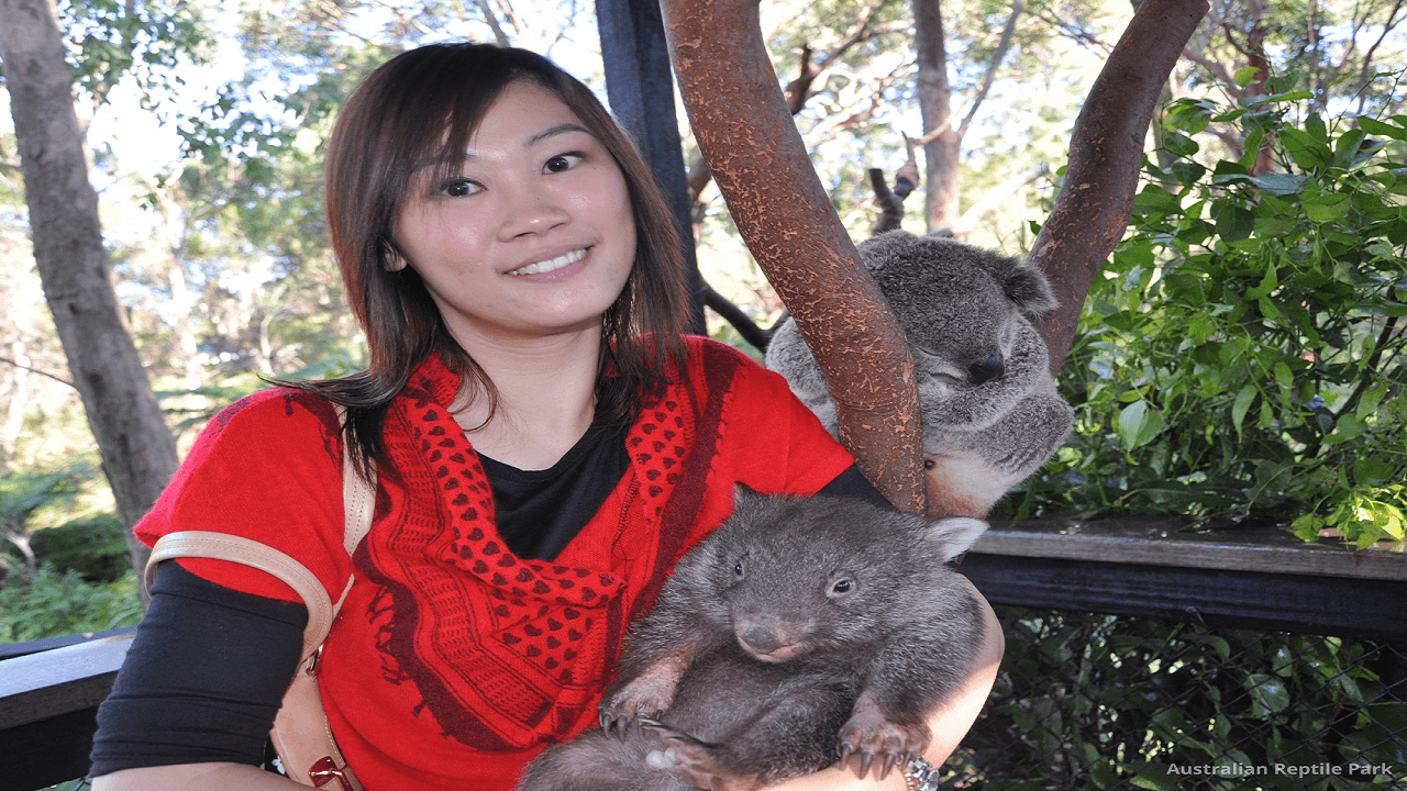 Australian Reptile Park – photo 49