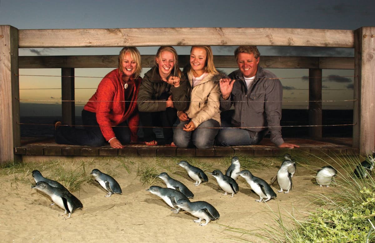 Phillip Island Nature Parks - Three-Park Pass