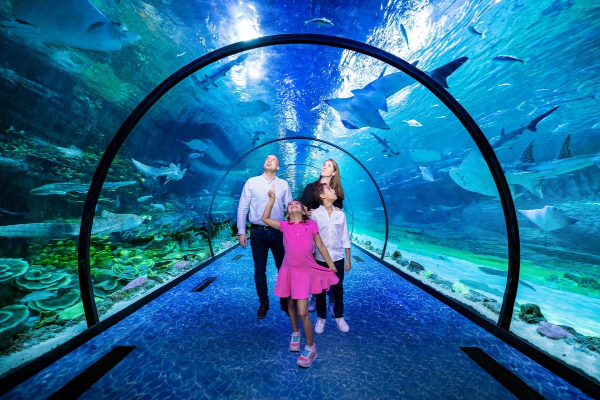 COMBO: The National Aquarium + Louvre Abu Dhabi Tickets