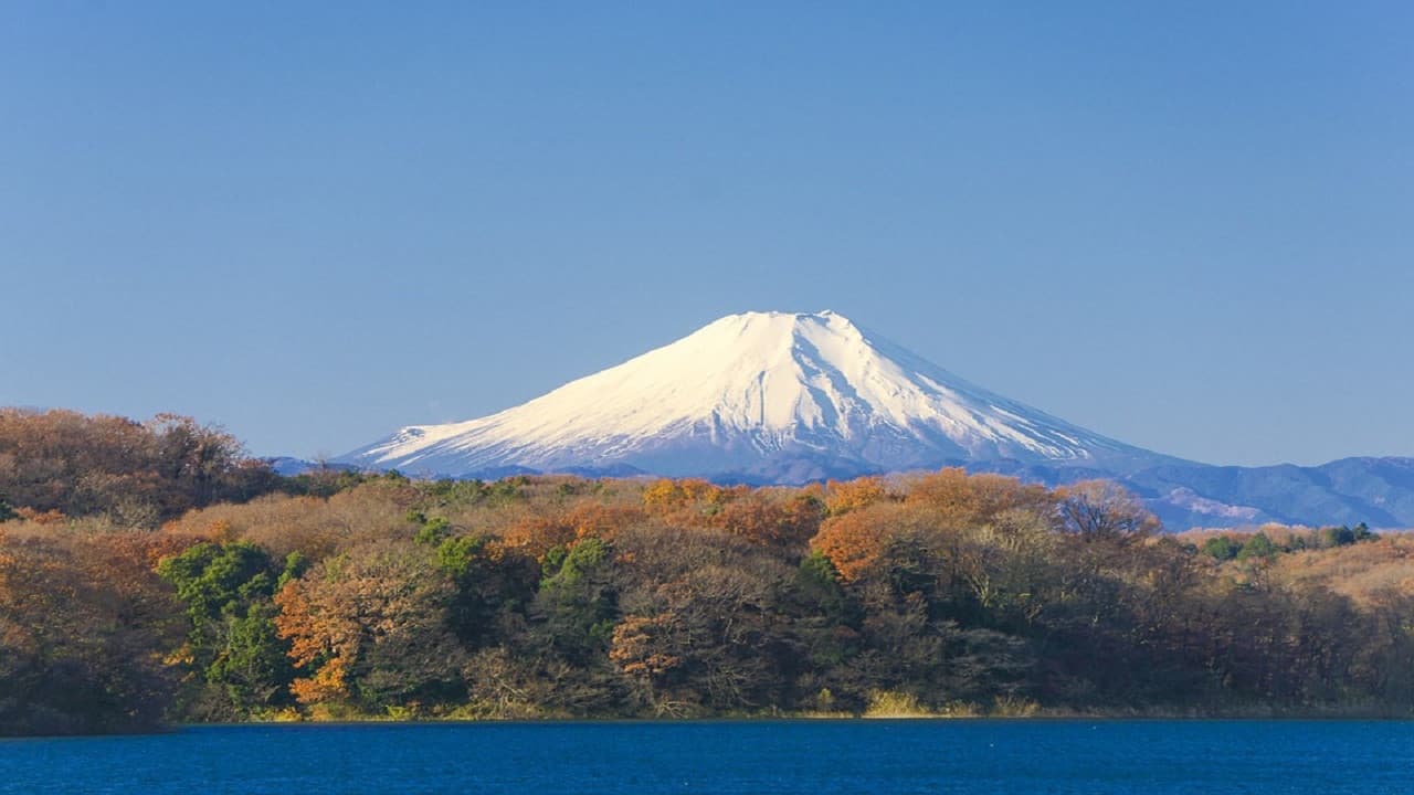Mount Fuji and Hakone Tour – photo 2