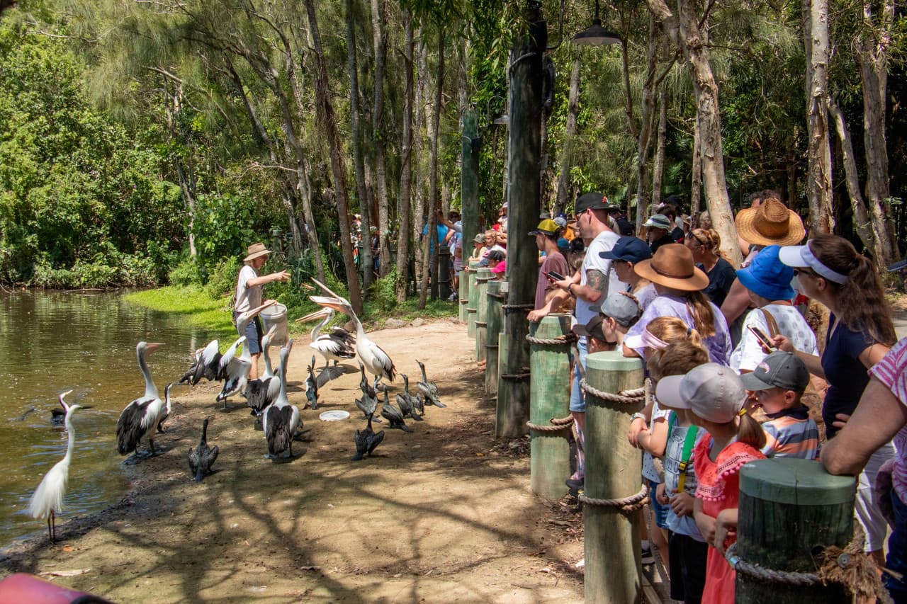 Currumbin Wildlife Sanctuary Ticket