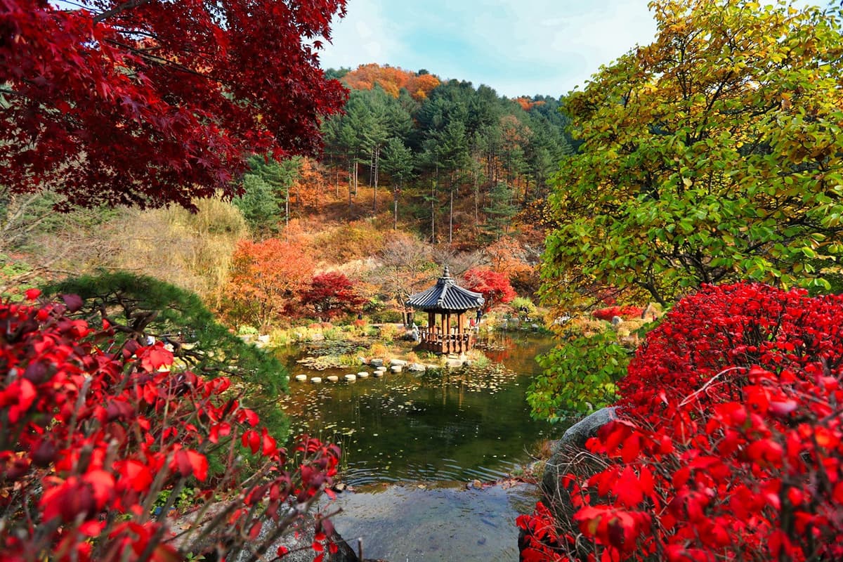 Nature parks and reserves