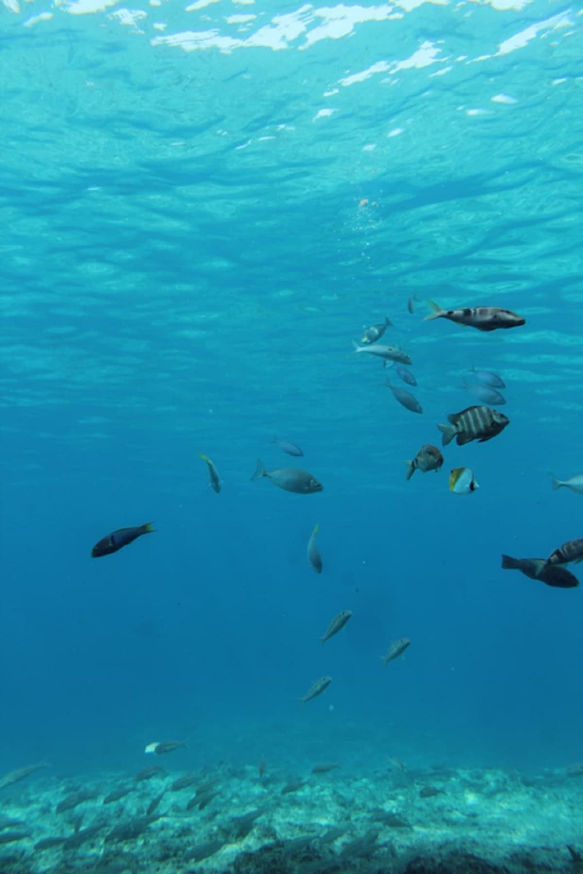 Okinawa Miyakojima Undersea Park
