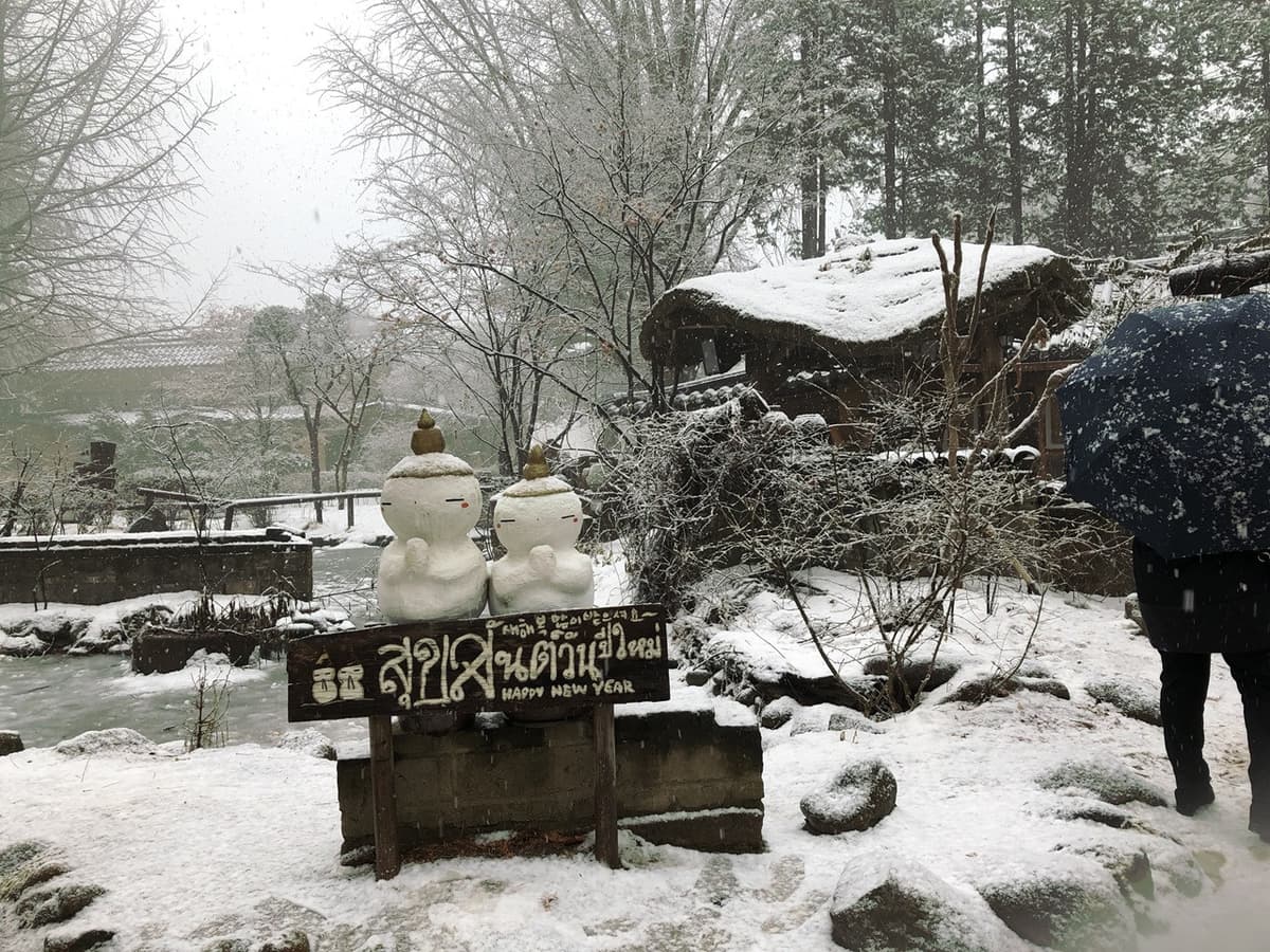 Nami Island and Mount Seorak Full-Day Tour from Seoul