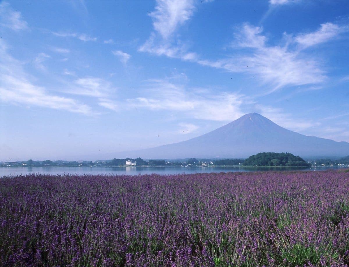 Experiences in Hakone
