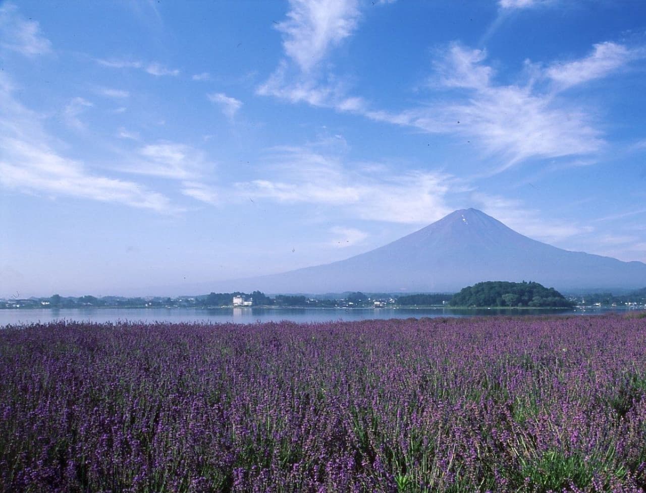 Fuji Hakone Pass