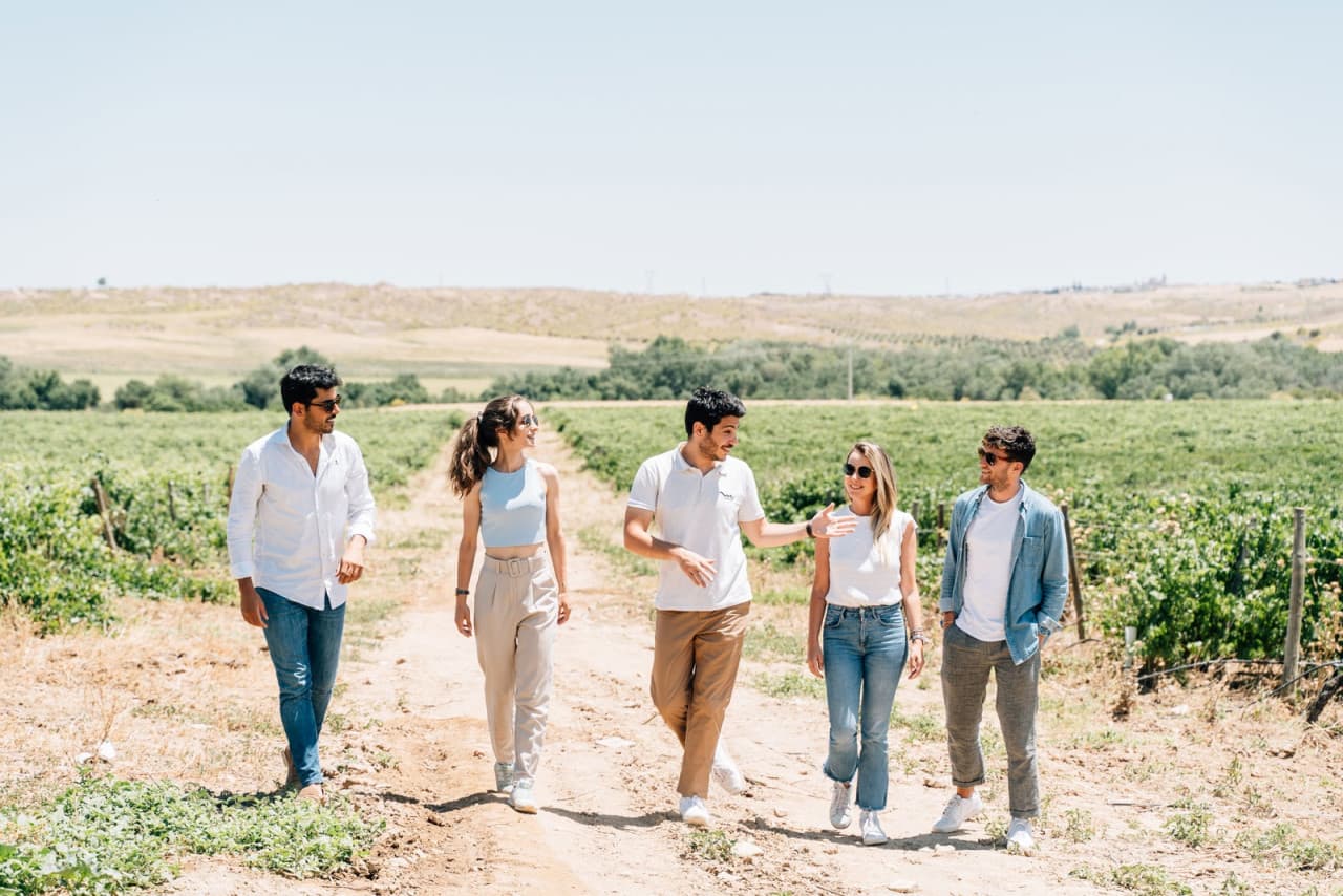 Toledo City Tour from Madrid with Wine Tasting Experience