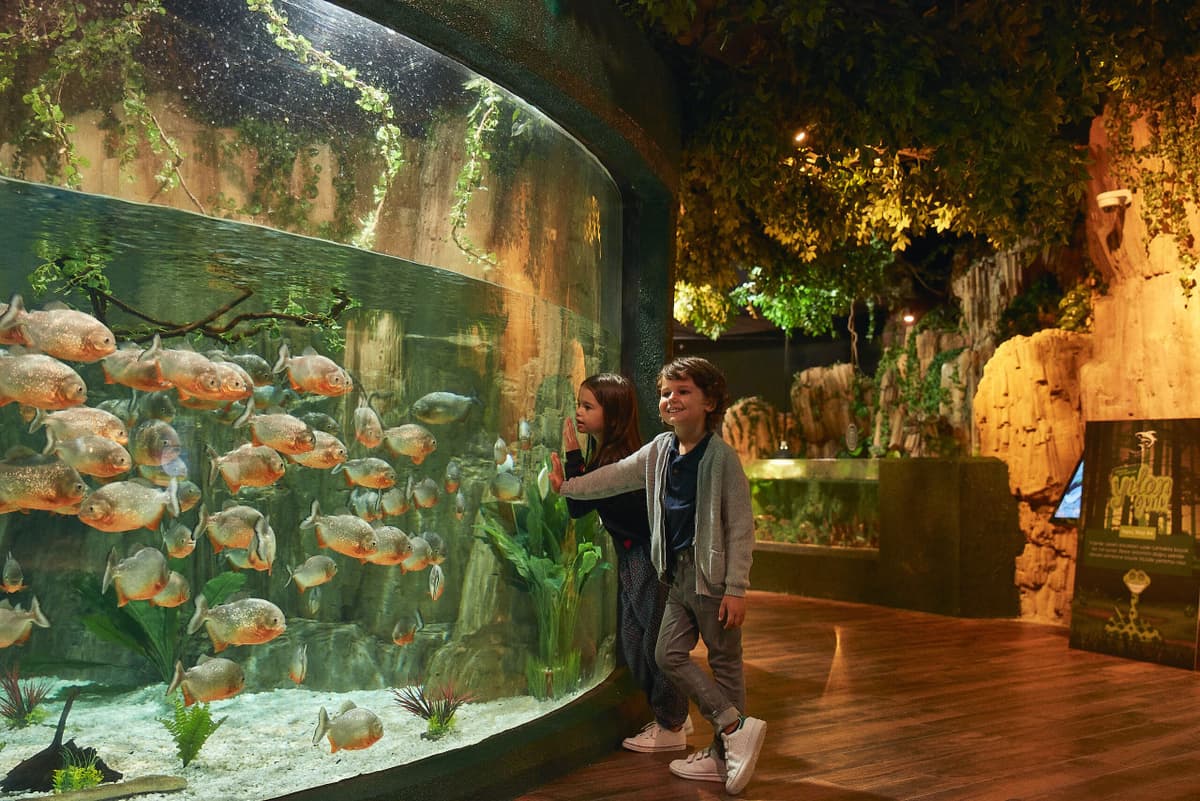 Emaar Aquarium and Underwater Zoo Ticket