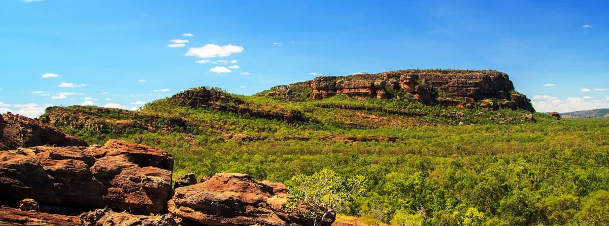 Kakadu National Park Tour from Darwin