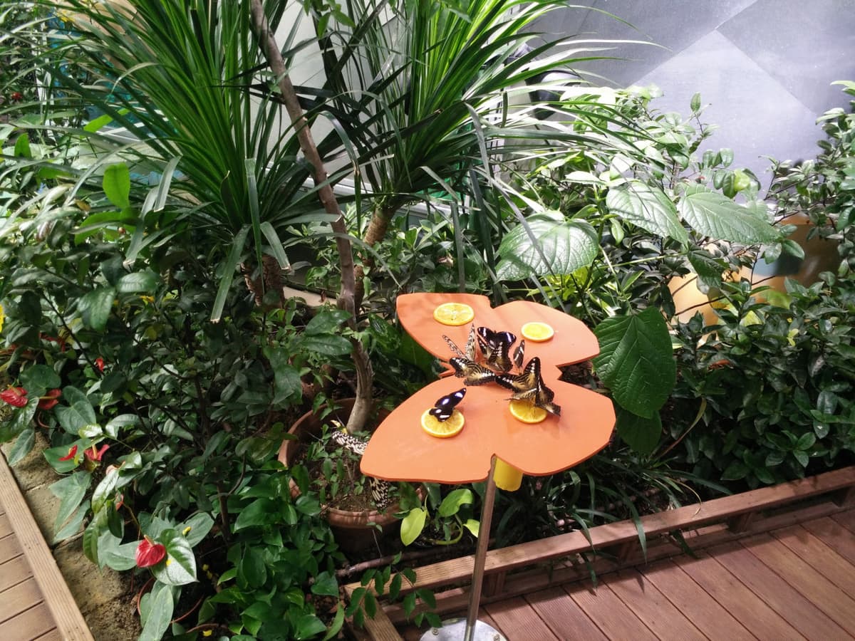Science Centre Singapore, Omni Theatre, and KidsSTOP Singapore Ticket