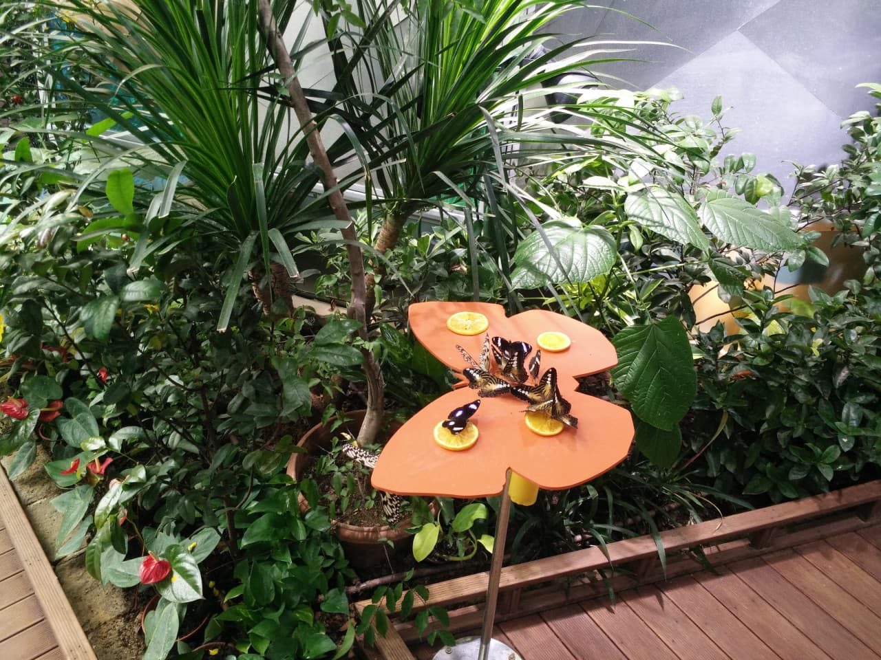 Science Centre Singapore, Omni Theatre, and KidsSTOP Singapore Ticket