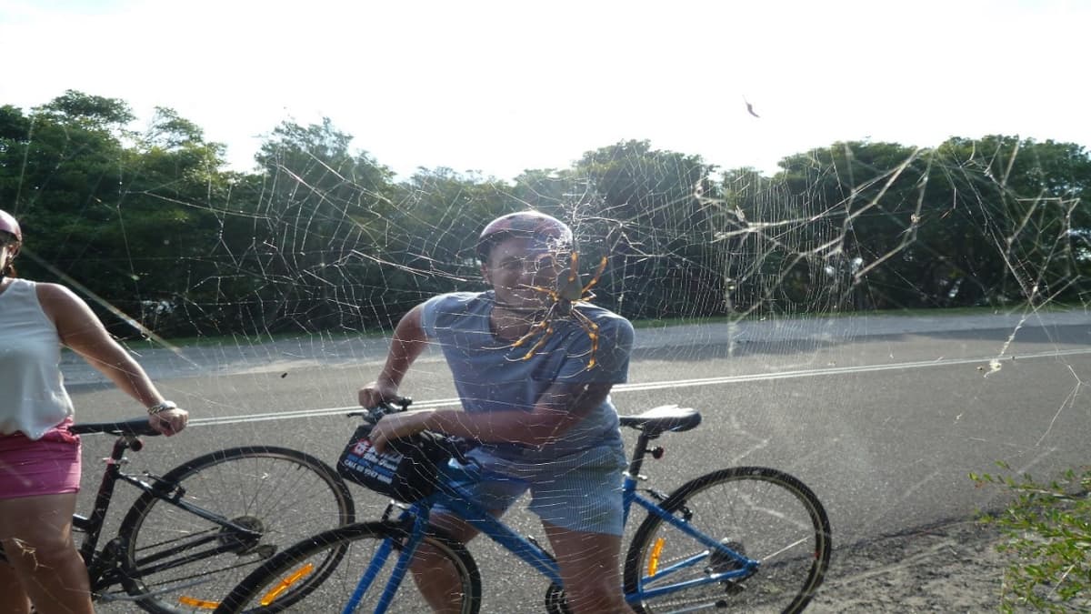 Manly Beach Cycling Tour with Sunset Cruise