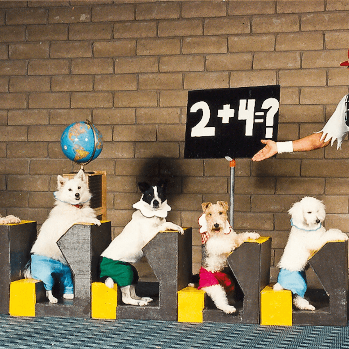 V Theatre Las Vegas - Popovich Comedy Pet Theatre