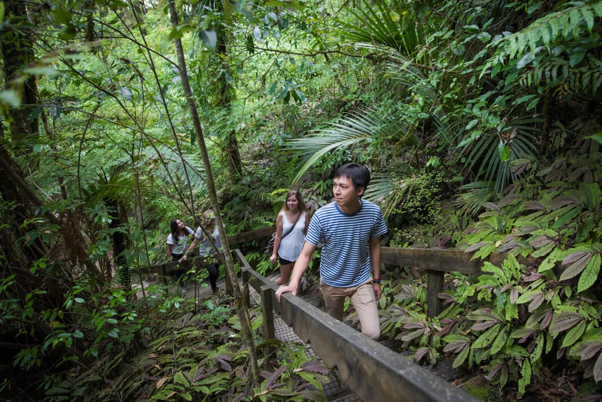 Waitomo Glowworm Caves Tour from Rotorua